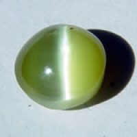 catseye007