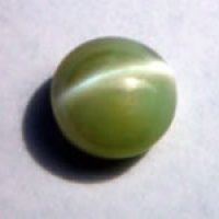 catseye029